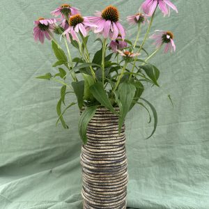 Vase Echinacea