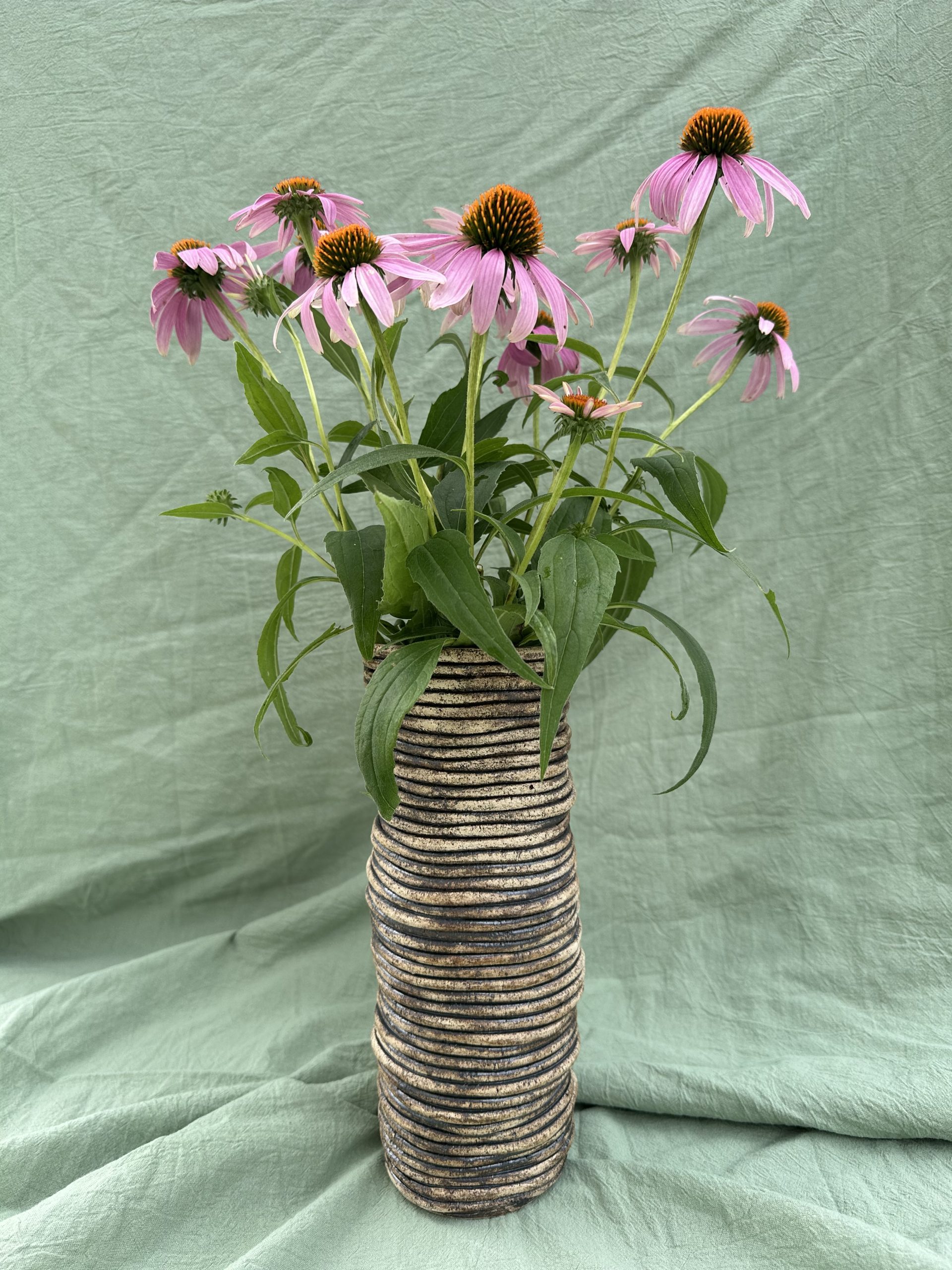 Vase Echinacea